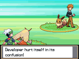 Screenshot of a Pokmenon battle with the text 'Developer hurt itself in its confusion!'